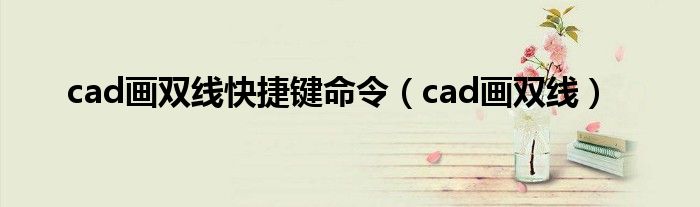 cad画双线快捷键命令（cad画双线）