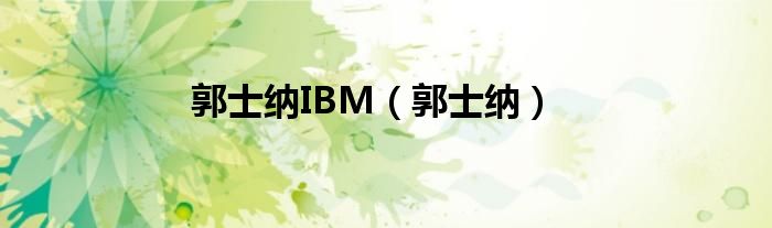 郭士纳IBM（郭士纳）