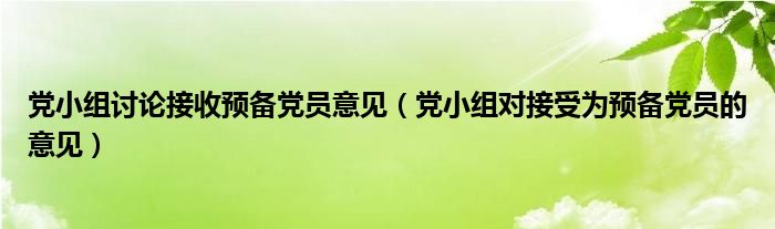 党小组讨论接收预备党员意见（党小组对接受为预备党员的意见）