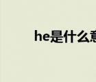 he是什么意思啊（he是什么意思）