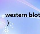 western blot（说一说western blot的简介）