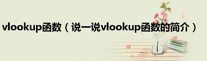 vlookup函数（说一说vlookup函数的简介）