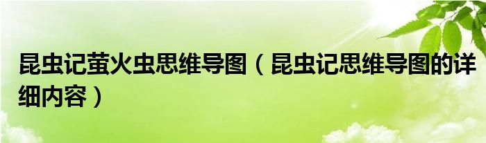 昆虫记萤火虫思维导图（昆虫记思维导图的详细内容）