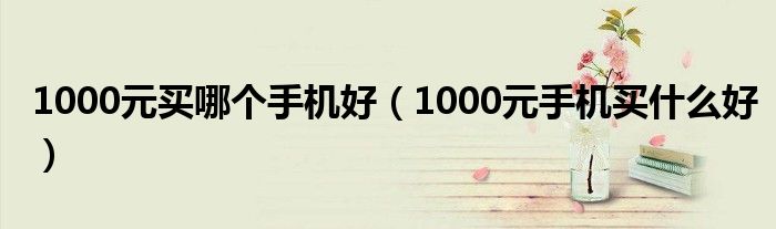 1000元买哪个手机好（1000元手机买什么好）