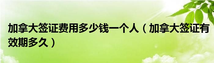 加拿大签证费用多少钱一个人（加拿大签证有效期多久）