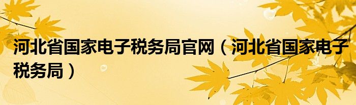 河北省国家电子税务局官网（河北省国家电子税务局）