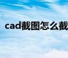 cad截图怎么截取部分图（cad截图怎么截）