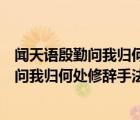 闻天语殷勤问我归何处我报路长嗟日暮的作用（闻天语殷勤问我归何处修辞手法）