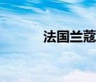 法国兰蔻法国官网（法国兰蔻）