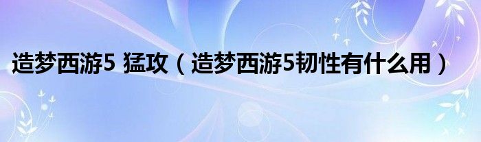 造梦西游5 猛攻（造梦西游5韧性有什么用）