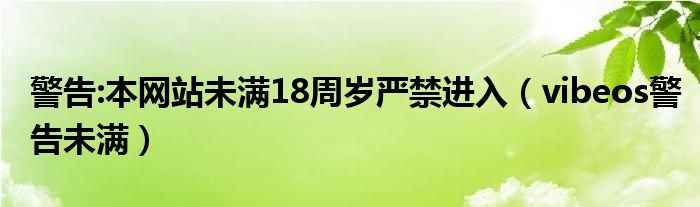 警告:本网站未满18周岁严禁进入（vibeos警告未满）