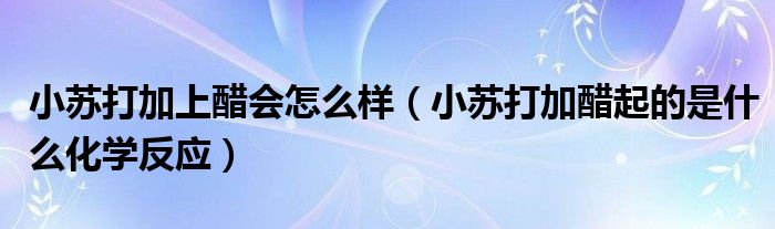 小苏打加上醋会怎么样（小苏打加醋起的是什么化学反应）