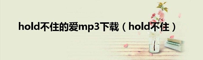 hold不住的爱mp3下载（hold不住）