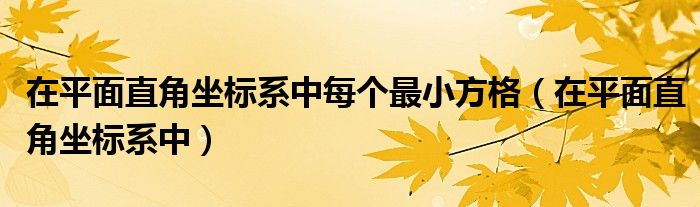 在平面直角坐标系中每个最小方格（在平面直角坐标系中）