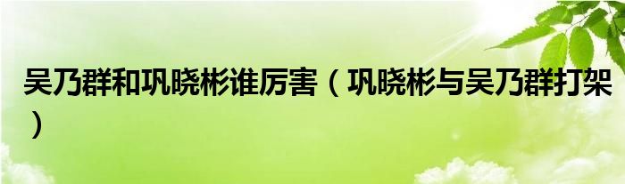 吴乃群和巩晓彬谁厉害（巩晓彬与吴乃群打架）