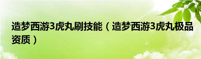 造梦西游3虎丸刷技能（造梦西游3虎丸极品资质）