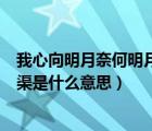 我心向明月奈何明月照沟渠全句（我心向明月奈何明月照沟渠是什么意思）