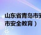 山东省青岛市安全教育平台入口（山东省青岛市安全教育）