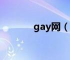 gay网（说一说gay网的简介）