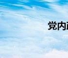 党内政治生活基本规范