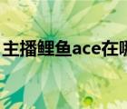 主播鲤鱼ace在哪个大学（鲤鱼ace几点直播）