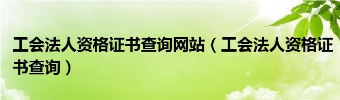 工会法人资格证书查询网站（工会法人资格证书查询）