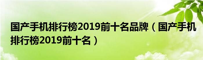 国产手机排行榜2019前十名品牌（国产手机排行榜2019前十名）