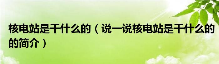 核电站是干什么的（说一说核电站是干什么的的简介）