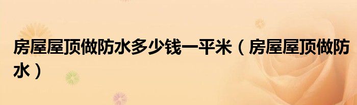 房屋屋顶做防水多少钱一平米（房屋屋顶做防水）