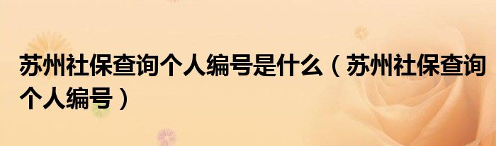 苏州社保查询个人编号是什么（苏州社保查询个人编号）