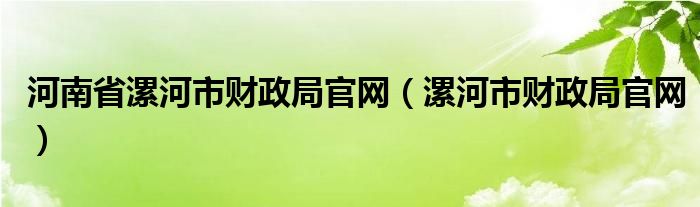 河南省漯河市财政局官网（漯河市财政局官网）