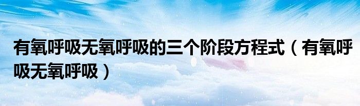 有氧呼吸无氧呼吸的三个阶段方程式（有氧呼吸无氧呼吸）