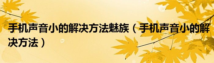 手机声音小的解决方法魅族（手机声音小的解决方法）