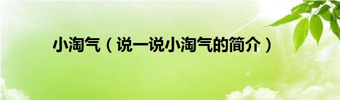 小淘气（说一说小淘气的简介）