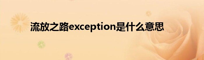 流放之路exception是什么意思