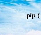 pip（说一说pip的简介）