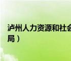 泸州人力资源和社会保障局官网（泸州人力资源和社会保障局）