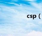 csp（说一说csp的简介）