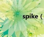 spike（说一说spike的简介）