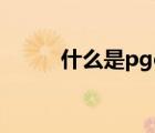 什么是pgc短视频（什么是PGC）