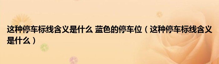 这种停车标线含义是什么 蓝色的停车位（这种停车标线含义是什么）