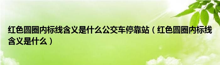 红色圆圈内标线含义是什么公交车停靠站（红色圆圈内标线含义是什么）