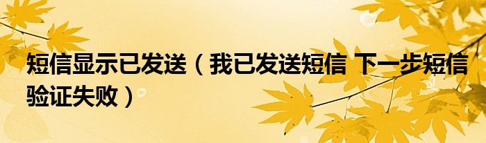 短信显示已发送（我已发送短信 下一步短信验证失败）