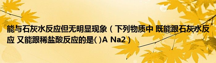 能与石灰水反应但无明显现象（下列物质中 既能跟石灰水反应 又能跟稀盐酸反应的是( )A Na2）