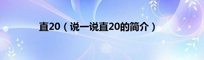 直20（说一说直20的简介）