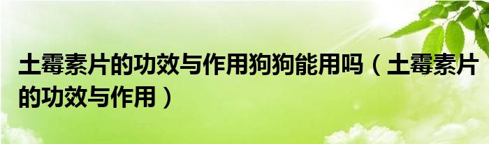 土霉素片的功效与作用狗狗能用吗（土霉素片的功效与作用）