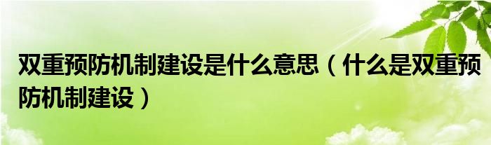 双重预防机制建设是什么意思（什么是双重预防机制建设）