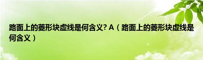 路面上的菱形块虚线是何含义? A（路面上的菱形块虚线是何含义）