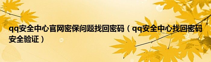 qq安全中心官网密保问题找回密码（qq安全中心找回密码安全验证）