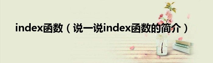 index函数（说一说index函数的简介）